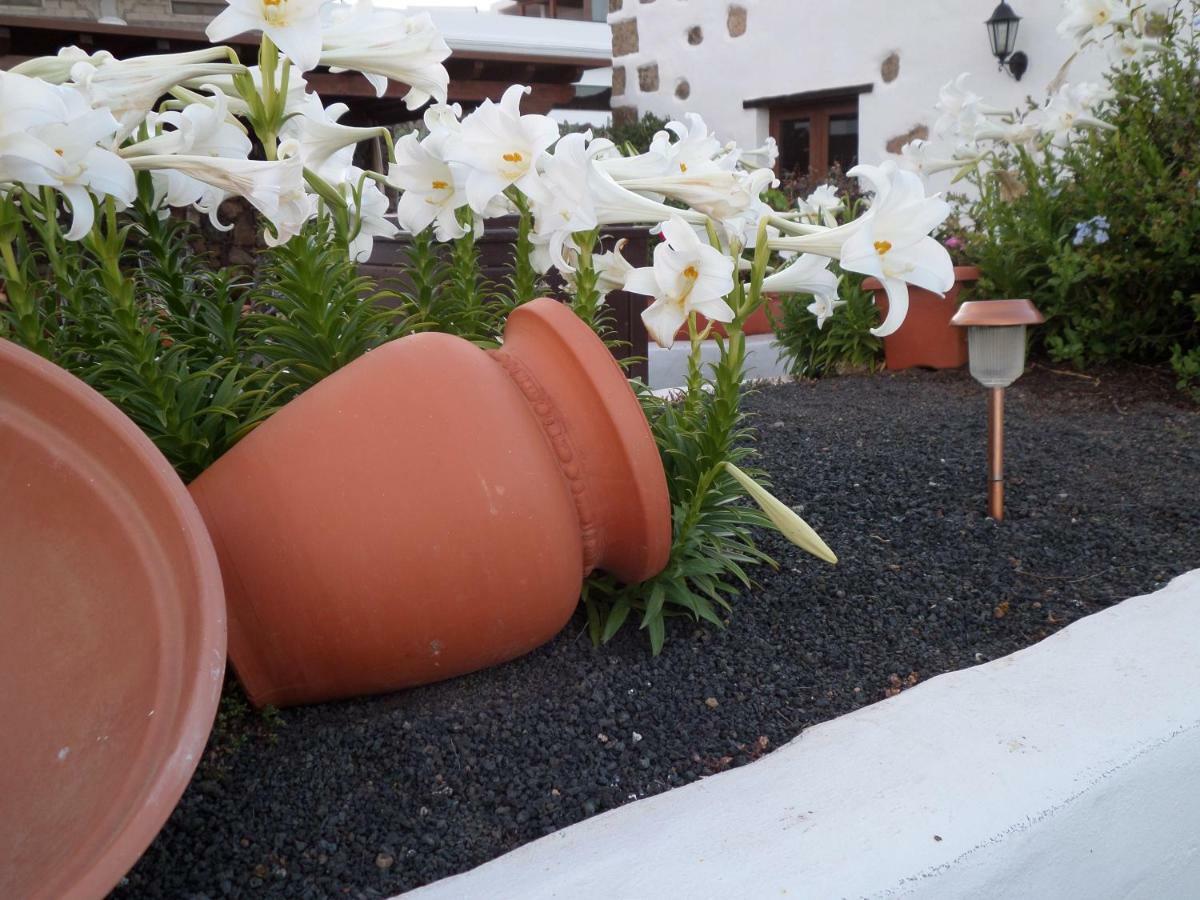 Guatiza Finca De Los Abuelos المظهر الخارجي الصورة